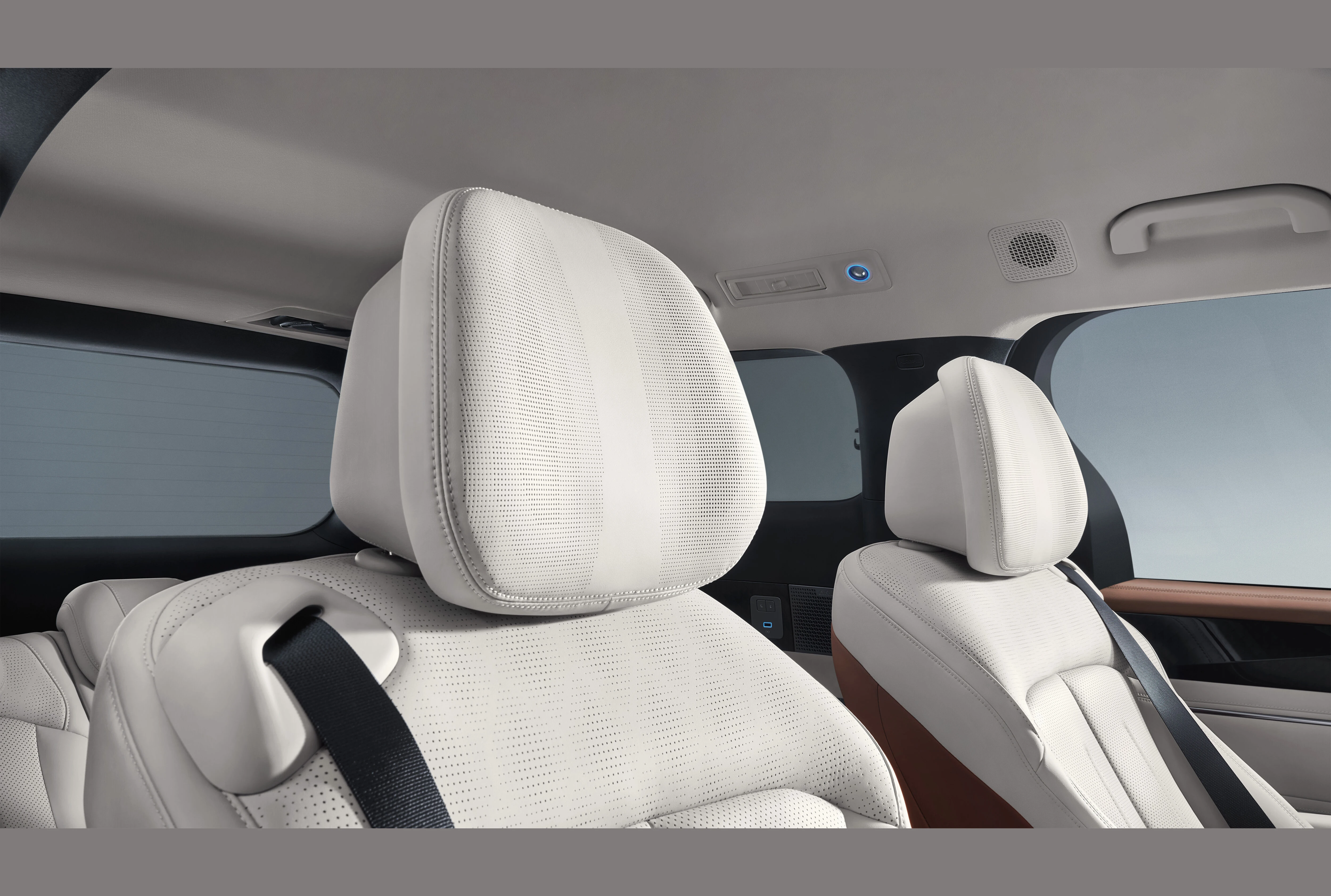 BYD M9, photo 6 of 6